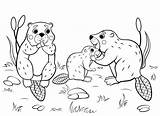 Coloring Pages Family Animals Animal Beaver Printable Outline Vector Cute Nature Kids Families Forest Wild Cartoon Background Book 30seconds Drawing sketch template
