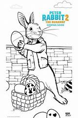 Rabbit Peter Easter Pages Coloring Printable Sheets Colouring Choose Board sketch template