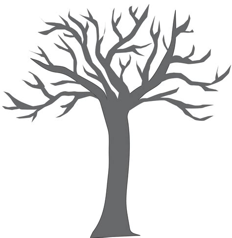 trees coloring pages  trunks clipart  clipart
