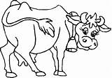 Toros Vacas Vaca Chachipedia sketch template