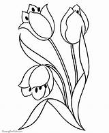 Coloring Flower Pages Printable Flowers Sheets Kids Tulip Drawing sketch template