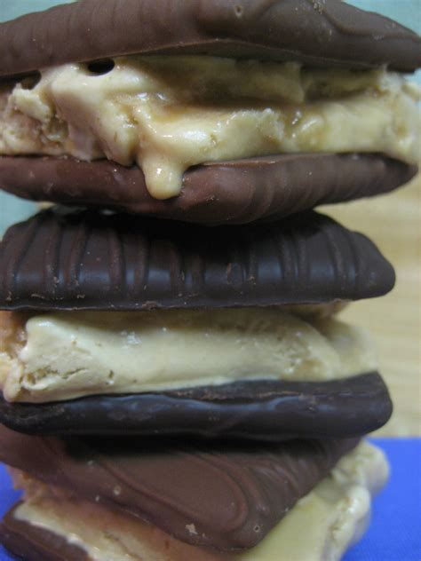 summer of sandwiches dulce de leche ice cream and choco covered graham