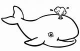 Baby Whale Coloring sketch template