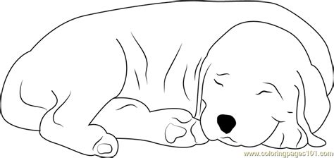 sleeping dog coloring page  dog coloring pages coloringpagescom