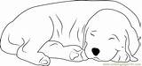 Dog Sleeping Coloring Pages Color Printable Coloringpages101 Dogs Online Animals Kids sketch template