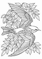 Mandala Oiseau Coloriage Hirondelle sketch template