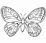 Motyl Druku Kolorowania Motyle Szukaj Kolorowanie sketch template