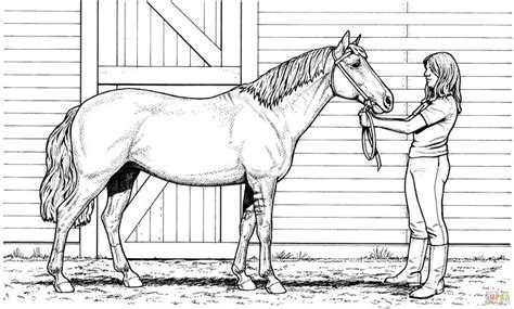 detailed horse coloring pages  coloring pages horse coloring