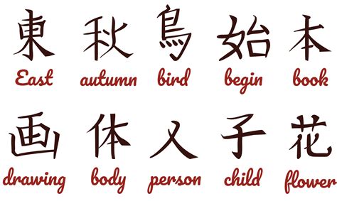 kanji vectors  vector art  vecteezy