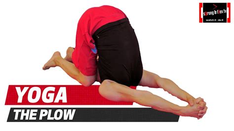 yoga stretches for back yoga for you