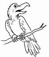 Corbeau Coloriage Animaux Coloriages sketch template