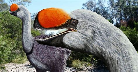 researcher discovers ancestor  biggest bird