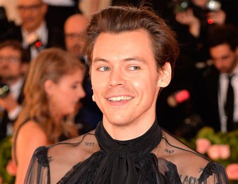 Harry Styles Gives A Refreshingly Honest Answer About His Sexuality E