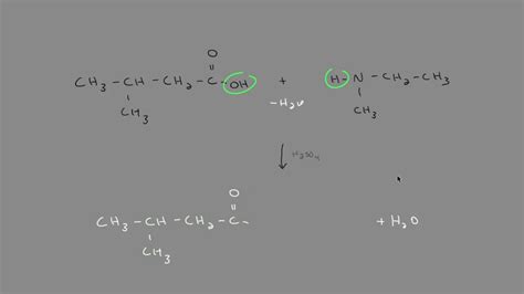 condensation reaction  amine carboxylic acid youtube