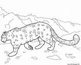 Leopard Snow Coloring Pages Leopards Amur Printable Animal Colouring Clipart Template Clouded Drawing Mountain Drawings Cat sketch template