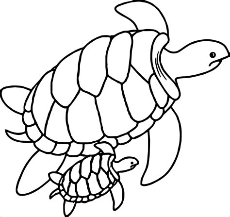 turtle coloring pages coloringbay
