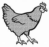 Chicken Hen Openclipart Lineart Sheaf Rooster Cochin Buffalo Fried Poultry Fowl Clipartmag Chicke Livestock Tags Mcdonalds Vhv Pinclipart Jing Freesvg sketch template