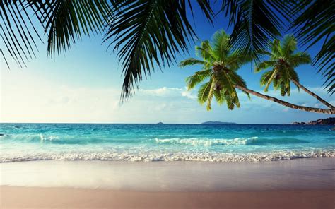 hintergrundbilder sonnenlicht meer bucht ufer sand strand kueste palmen horizont