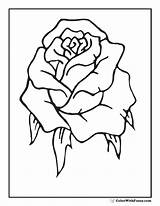 Rose Coloring Bud Rosebud Pages Single Printable Color Designlooter Pdf Printables Colorwithfuzzy Kids 85kb sketch template