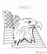 Eagle Coloring Pages Bald Head American Flag Sheet Kids Playinglearning sketch template