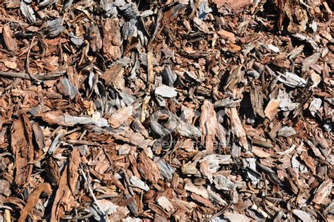 bark mulch stock  freeimagescom