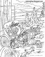 Plantation Coloring Pages Vegetable Garden Adults Template Harvest sketch template