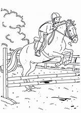Cavalli Cavallo Kleurplaten Animali Paard Ruiter Jumping Paarden Springen Terborg600 Mandalas Adulti sketch template