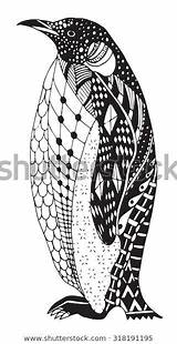 Penguin Zentangle Vector Freehand Coloring Pattern Illustration Stylized Drawn Pencil Hand Stock Animals Vectors Books Print Shutterstock Drawings Illustrations Animal sketch template