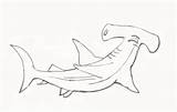Shark Draw Hammerhead Kids Drawing Easy Sharks Step Coloring Drawings Pages Animal Steps Clipart Clipartbest Gandos Jos Choose Board sketch template