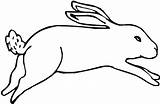 Bunny Hopping sketch template