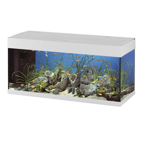 dubai  aquarium en verre blanc xx cm achat vente aquarium