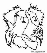 Coloring Pages Dog Australian Shepherd Printable Collie Border Color Bulldog Puppy Print Dogs English Sheet Bing Getcolorings Books Face Stencil sketch template