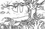 Coloring Forest Landscape Pages Rainforest Kids Animals Adults Mountain Adult Jungle Background Natural Woods Plants Drawing Printable Simple Spring Habitat sketch template