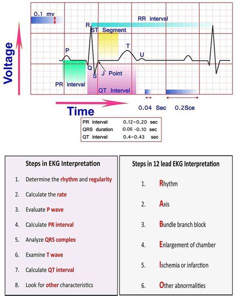 Learn Ecg Interpretation 10 Steps To Learn Ecg Interpretation Learning