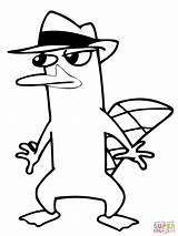 Perry Platypus Coloring Agent Pages Drawing Sneaking Ferb Kids Phineas Printable Around Colouring Disney Games Gif sketch template