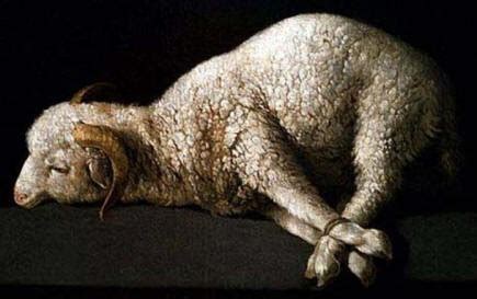 coming  christ  gods passover lamb slain