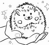 Hedgehog Hedgehogs Pet Bestcoloringpagesforkids Schooltime Ricci sketch template