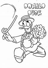 Donald Duck Coloring Mickey Mouse Pages Library Clipart Popular sketch template