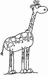 Giraffa Savana Desene Facili Giraffen Coloratutto Colorat Stampa Planse Giraffe Stampare Divertenti Colora Cartoni Colorati Cartonidacolorare sketch template