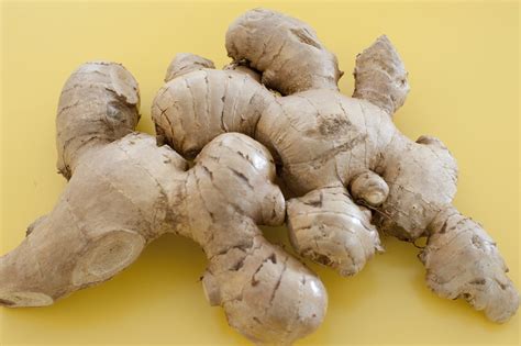 stock photo   root ginger freeimageslive