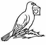 Pigeon Coloring Pages Print Kids Printable Colouring Birds Children sketch template