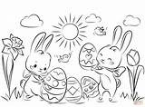 Pascua Colorear Huevos Conejitos Bunnies Conejo Supercoloring Preciosos sketch template