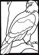 Coloring Pages Eagle Animals Animal Color Crayola Kids Bald Cartoon Colouring Z31 Printable Cliparts Clipart Gif Golden Print Library Eagles sketch template