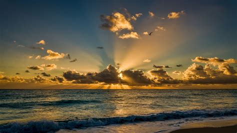 miami beach florida beautiful sunrise morning sea ocean