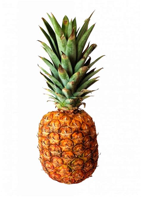 ananas pineapple smoothieweltcom