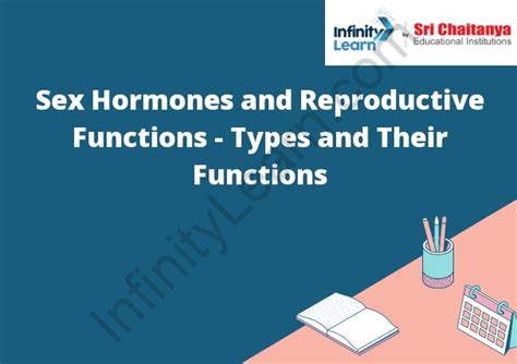 Sex Hormones And Reproductive Functions Types And Their Functions