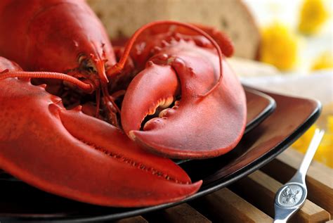 prepare maine lobsters  local  legacy properties