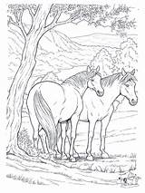 Coloring Wild Horse Pages Popular sketch template