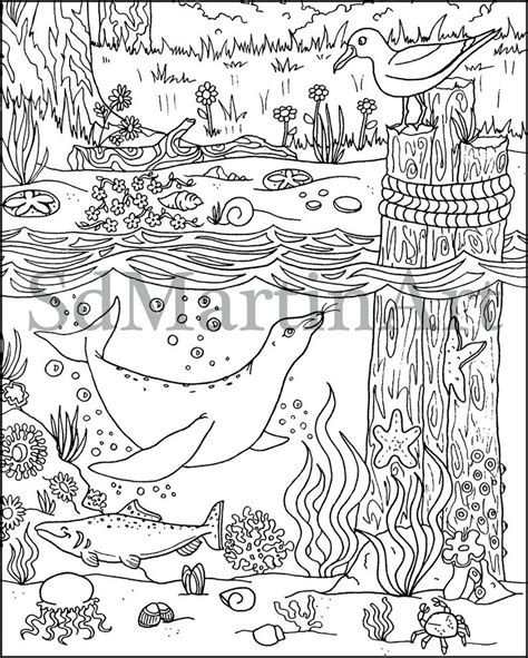 summertime printable adult coloring book   coloring etsy