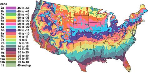 Hardiness Zones Are Explained An D Displayed Several